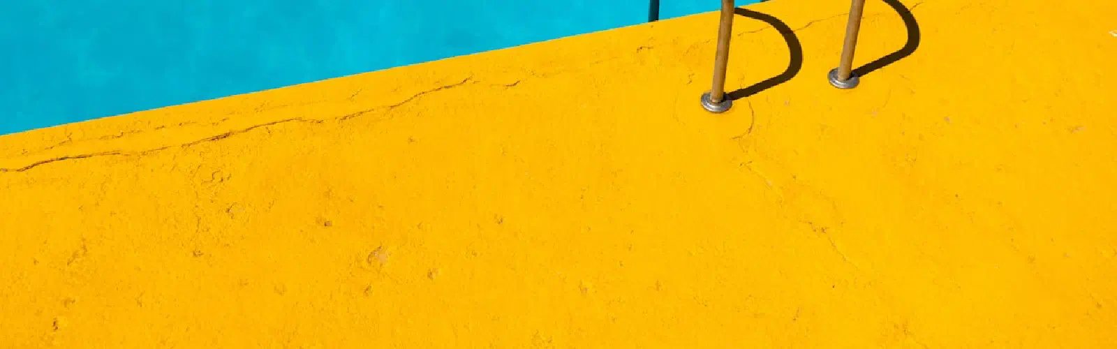 久井釣り大会 2026